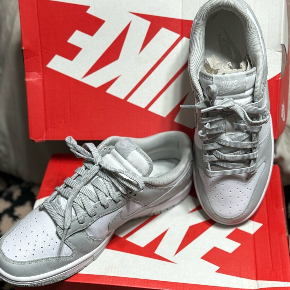 Brand New never worn Nike Dunks